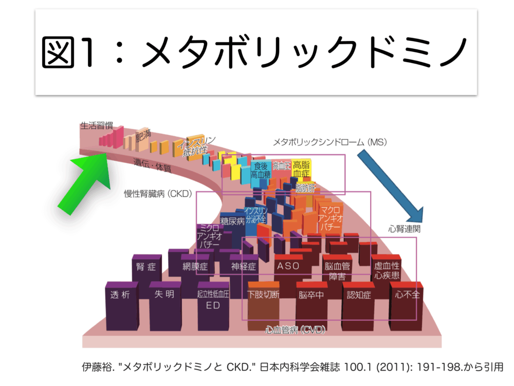 歯をもたせるための、豆知識〜その1 総論〜
