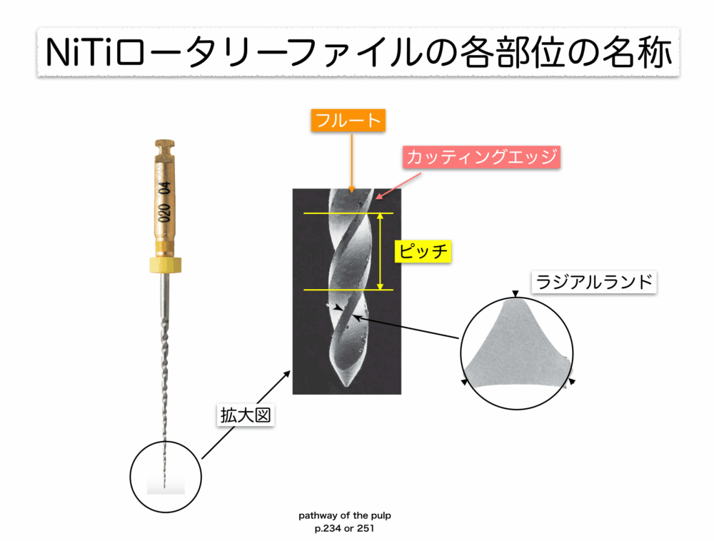 NiTiファイルの各部位について１